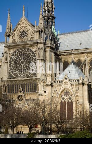 Cathédrale Notre-Dame, Paris, France Banque D'Images