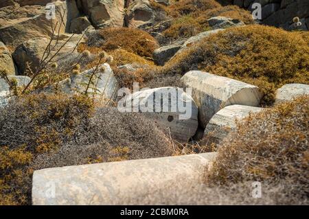 Des colonnes brisées tombées sur le site archéologique de l'île de Delos, Grèce Banque D'Images