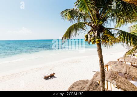 Vue panoramique sur les chaises longues de la plage, Tulum, Riviera Maya, Mexique Banque D'Images