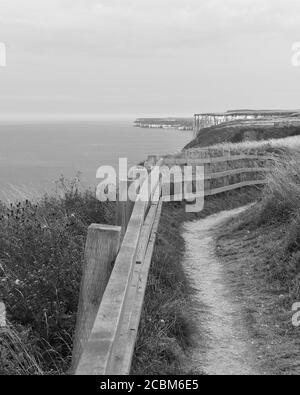 Chemins de campagne le long de la falaise à Bempton Cliffs, East Yorkshire, Royaume-Uni. Banque D'Images