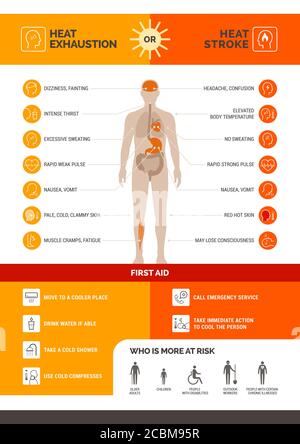 Infographie sur l'épuisement par la chaleur et les accidents vasculaires cérébraux : symptômes et premiers soins Illustration de Vecteur