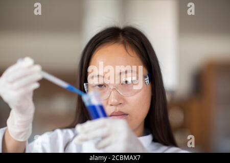 scientifique femelle avec des lunettes et des tubes de laboratoire dans un laboratoire Banque D'Images