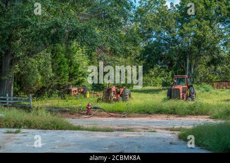 Trois types différents de vieux tracteurs agricoles mis au rebut et abandonnés dans un champ d'herbe surcultivée avec des arbres dans le arrière-plan et une borne d'incendie rouge s Banque D'Images