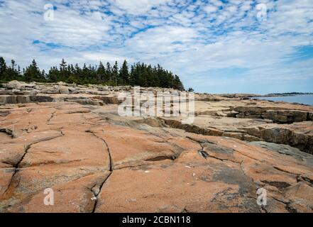 Arbres et roche de granit à Schoodic point dans l'Acadia National Parc dans le Maine Banque D'Images