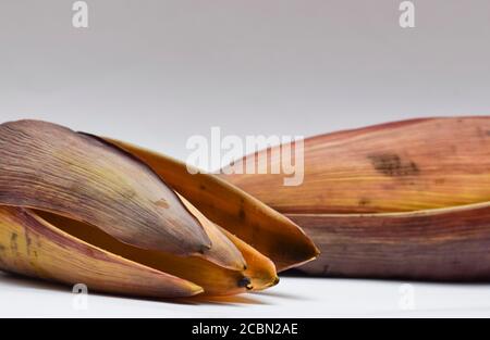 Fleurs de Banana comestibles de légumes exotiques ou fleurs de Banana. Largement utilisé dans diverses recettes en Asie, sous-continent indien Banque D'Images