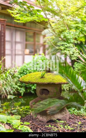 Gros plan sur une lanterne Nozura en pierre japonaise réalisée à l'aide du texture de pierre naturelle avec un grand parasol rond de kasa recouvert de mousse de lichen dans le b Banque D'Images