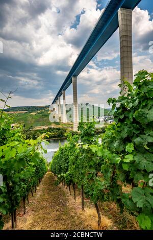 Pont de passage de Hochmosel, route fédérale B50 avec pont de Hochmosel, 160 mètres de haut et 1.7 kilomètres de long, au-dessus de la vallée de la Moselle, ne Banque D'Images