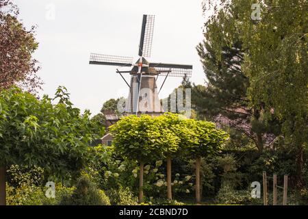 Moulin 'de Arend' à Coevorden, aux pays-Bas Banque D'Images