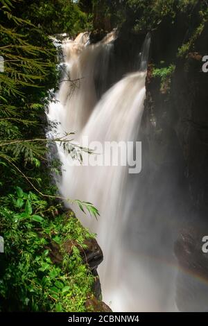 Vue sur les célèbres chutes d'Iguazu, les plus grandes chutes d'eau du monde, parc national d'Iguazu, province de Misiones, Argentine Banque D'Images