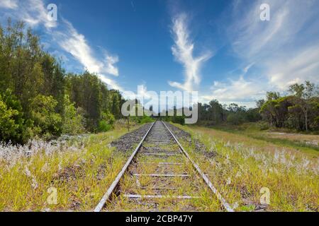 Chemin de fer à travers la forêt. Un ancien chemin de fer abandonné à Byron Bay. Chemin de fer à l'horizon Banque D'Images