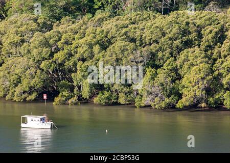 Un petit yacht blanc garé près du lac de la forêt en plein jour d'été. Brisbane, Australie Banque D'Images