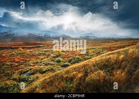 Paysage large, Fjaell avec une végétation colorée en automne, Ruska Aika, été indien, été indien, été indien, atmosphère de nuages dramatique Banque D'Images