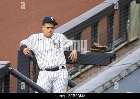 Bronx, États-Unis. 14 août 2020. New York Yankees Gio Urshela est dans le dugout avant le premier repas contre le Boston Red Sox au Yankee Stadium le vendredi 14 août 2020 à New York. Photo de Corey Sipkin/UPI crédit: UPI/Alay Live News Banque D'Images