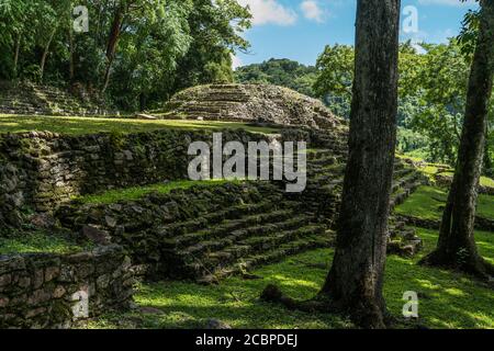 Le bâtiment 18 borde la place principale dans les ruines de la ville maya de Yaxchilan sur la rivière Usumacinta à Chiapas, au Mexique. Banque D'Images