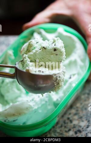 Portion de glace à la menthe et aux copeaux de chocolat Banque D'Images