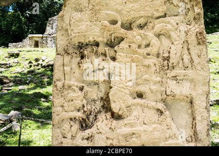 Stela 5 dans les ruines de la ville maya de Yaxchilan sur la rivière Usumacinta à Chiapas, Mexique. Banque D'Images