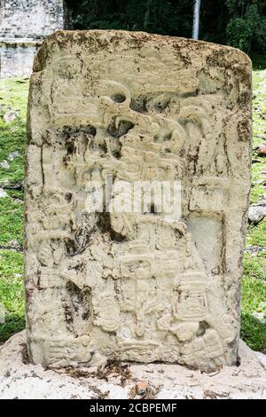 Stela 5 dans les ruines de la ville maya de Yaxchilan sur la rivière Usumacinta à Chiapas, Mexique. Banque D'Images