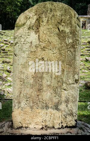 Stela 6 dans les ruines de la ville maya de Yaxchilan sur la rivière Usumacinta à Chiapas, Mexique. Banque D'Images