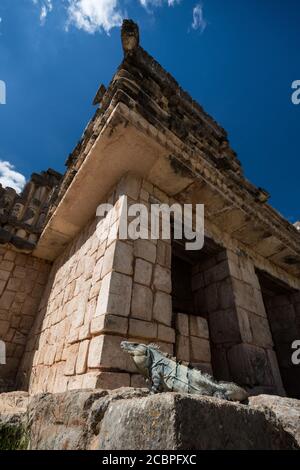 Un mâle de l'Iguana à queue épineuse noire se basant dans le Quadrangle des oiseaux dans les ruines mayas pré-hispanique d'Uxmal, Mexique. Banque D'Images