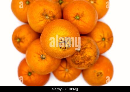 Pile d'oranges non pelées avec seulement la partie supérieure dans mise au point Banque D'Images