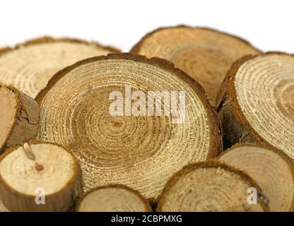 Disques en bois comme matériau de décoration Banque D'Images