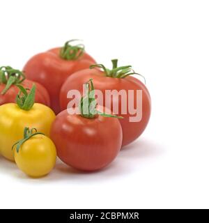 Tomates jaunes et rouges sur fond blanc Banque D'Images