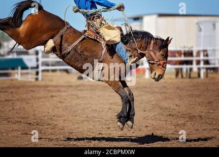 Un cowboy fait du cheval de bronches au rodéo de campagne Banque D'Images