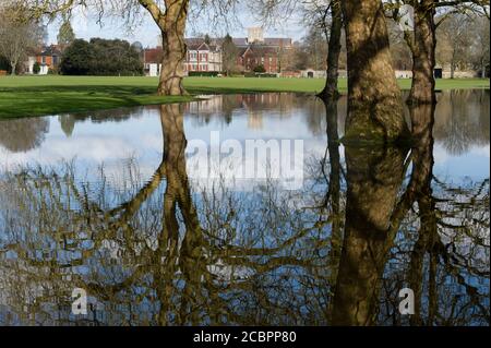 Le Winchester College et la cathédrale de Winchester se reflètent dans les prés d'eau inondés, en raison de la rivière Itchen débordant de ses rives. Winchester, Hampshire, Royaume-Uni. 16 févr. 2014 Banque D'Images