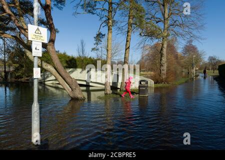 Les personnes marchant le long d'un chemin inondé, dans le terrain de loisirs de North Walls, Winchester, en raison de la rivière Itchen débordant ses rives. Winchester, Hampshire, Royaume-Uni. 16 févr. 2014 Banque D'Images