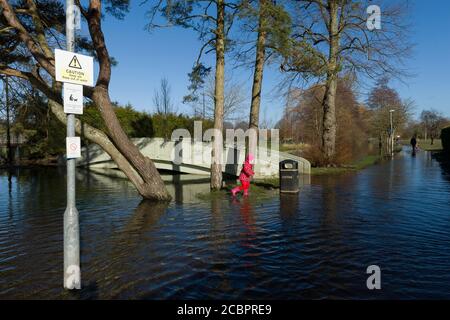 Les personnes marchant le long d'un chemin inondé, dans le terrain de loisirs de North Walls, Winchester, en raison de la rivière Itchen débordant ses rives. Winchester, Hampshire, Royaume-Uni. 16 févr. 2014 Banque D'Images