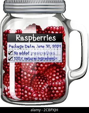 Illustration des framboises dans un pot en verre Illustration de Vecteur