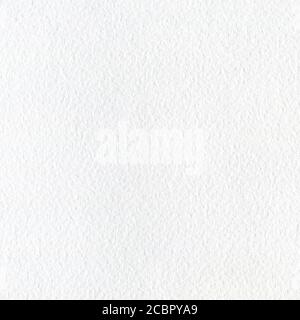 Papier aquarelle blanc avec texture. Fond carré pour la peinture. Page blanche vide, texturée. Banque D'Images