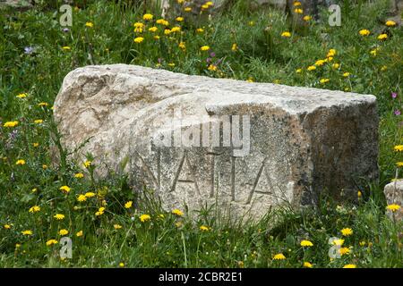 Thugga Tunisie, bloc de pierre avec inscription latine partielle dans le champ des fleurs sauvages Banque D'Images