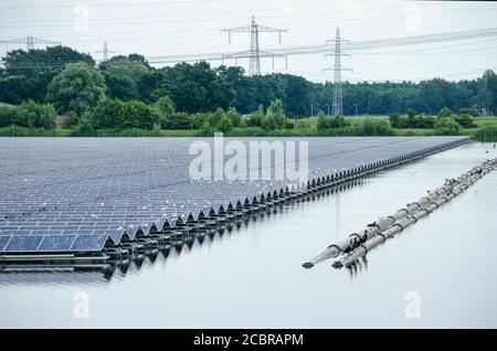 Zwolle, pays-Bas, 19 juillet 2020: Oiseaux reposant sur un tableau flottant de panneaux solaires dans le lac artificiel Sekdoornse Plas, avec des lignes électriques et des forts Banque D'Images