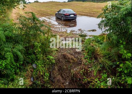 Bantry, West Cork, Irlande. 15 août 2020. Une voiture s'est écrasée dans un champ près de Bantry pendant la nuit, sautant un fossé de 10 pieds dans le processus. La voiture a dévier de la route, au-dessus d'un fossé, à travers une clôture et est venue se reposer dans un bassin d'eau à l'intérieur du champ. Le conducteur n'était pas visible lorsque cette photo a été prise. Crédit : AG News/Alay Live News Banque D'Images