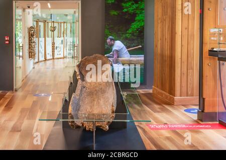 Musée des habitations pieu – Molina di Ledro ... sont composés d'une série d'objets découverts dans le site de la pieu, sur la rive du enchanteur Banque D'Images