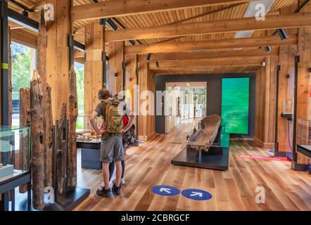 Musée des habitations pieu – Molina di Ledro ... sont composés d'une série d'objets découverts dans le site de la pieu, sur la rive du enchanteur Banque D'Images