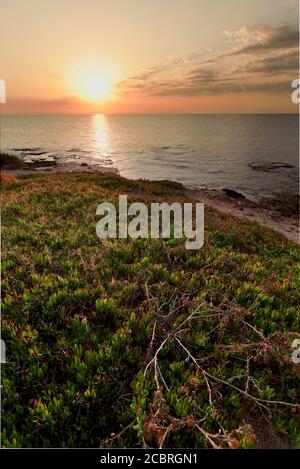 Lever du soleil à Cabo Cervera à Torrevieja, province d'Alicante en Espagne. Prise verticale avec espace pour le texte. Banque D'Images