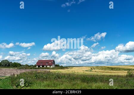 une petite maison ancienne au loin sur un champ de blé vert. rural landscape.beautiful ciel avec des nuages. Banque D'Images