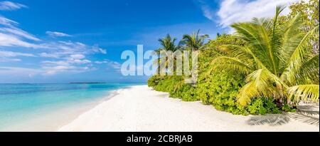 Vue panoramique sur la plage tropicale, paysage d'été, palmiers et sable blanc, horizon de mer calme pour bannière de plage. Détendez-vous nature de la plage, vacances Banque D'Images