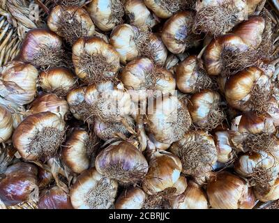Gros plan des bulbes d'ail fumé isolés dans le panier Banque D'Images