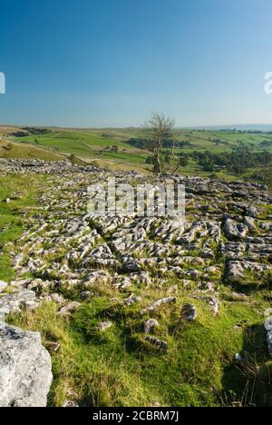 Chaussée calcaire au-dessus de Malham Cove près de Malham dans le Yorkshire Parc national de Dales Banque D'Images