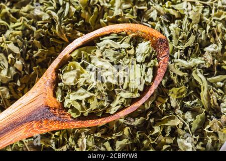 Feuilles de moringa séchées dans un bol sur la table, Moringa oléifera Banque D'Images