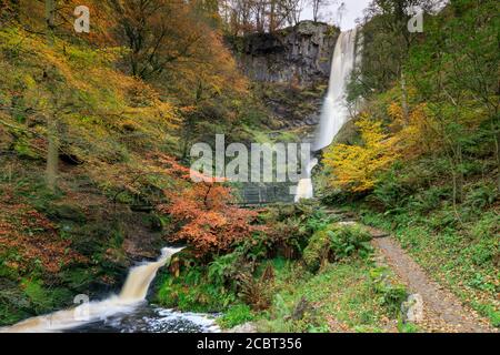 Couleur d'automne capturée début novembre à partir d'un sentier sur la rive de l'Afon Rhaeadr, au-dessous de la chute d'eau de Pistyll Rhaeadr près de Llanrhaeadr-Ym-Mochnant Banque D'Images