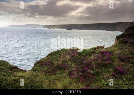 La vue le long de la côte nord de Cornwall est capturée depuis le South West Coast Path jusqu'à l'est de Hell's Mouth. Banque D'Images