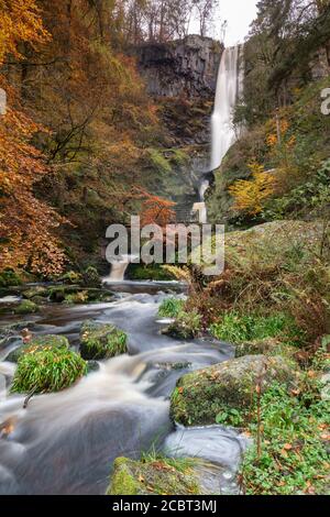 Couleur d'automne capturée début novembre sur la rive de l'Afon Rhaeadr, au-dessous de la chute d'eau de Pistyll Rhaeadr près de Llanrhaeadr-Ym-Mochnant dans le Nord de la Wa Banque D'Images