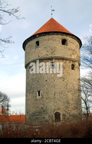 Kiek in de Kok est une tour qui fait partie des fortifications de Tallinn en Estonie. C'est une ancienne tour d'artillerie qui fait partie du mur de la ville. Banque D'Images