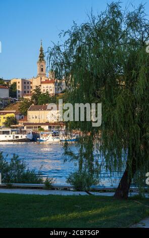 Belle vue d'été sur le centre historique de Belgrade depuis la rive de la Sava près du pont de Branko (Brankov Most), Serbie. Les gens et les signes Banque D'Images