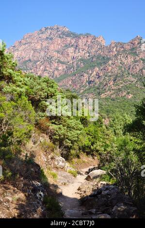 Sentier de randonnée gorges de la Spelunca en Corse-du-Sud Banque D'Images