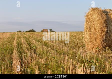 un fragment de rouleau de haystack de paille à cordes et plusieurs rouleaux en arrière-plan sur le champ. Paysage de ferme d'été avec des haystacks sur le beau coucher de soleil. Concept d'agriculture. Concept de récolte Banque D'Images